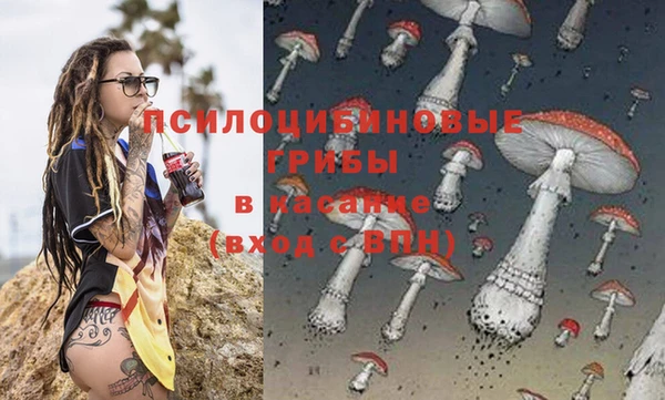 дурь Приозерск