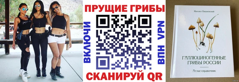 Псилоцибиновые грибы GOLDEN TEACHER  наркота  Елабуга 